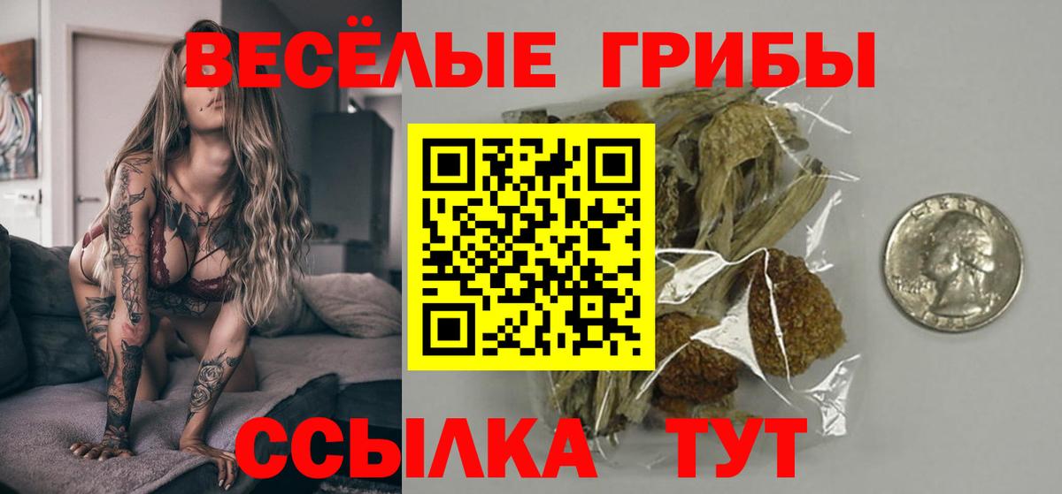 Галлюциногенные грибы Psilocybine cubensis Сургут